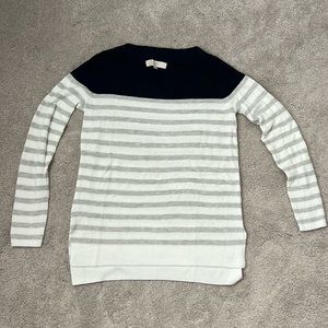 Ann Taylor Loft sweater
